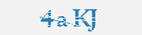 보안문자